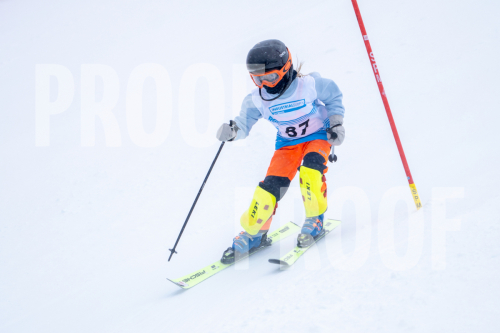 DSC00350