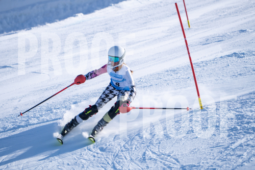 South Series Slalom