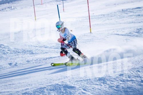 South Series Slalom