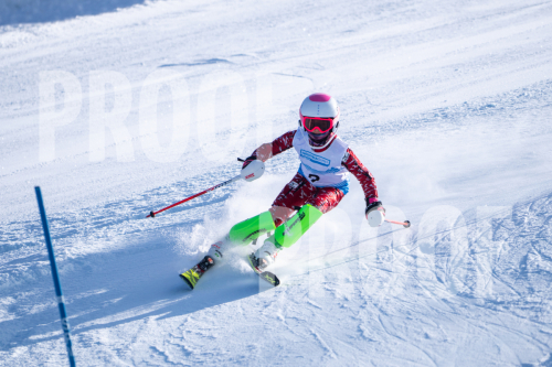 South Series Slalom