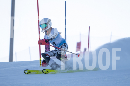 South Series Slalom