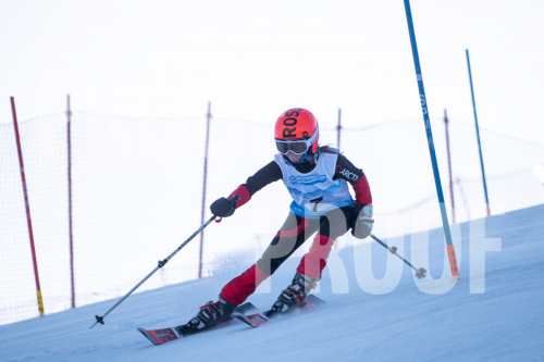 South Series Slalom