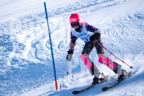 South Series Slalom