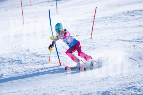 South Series Slalom