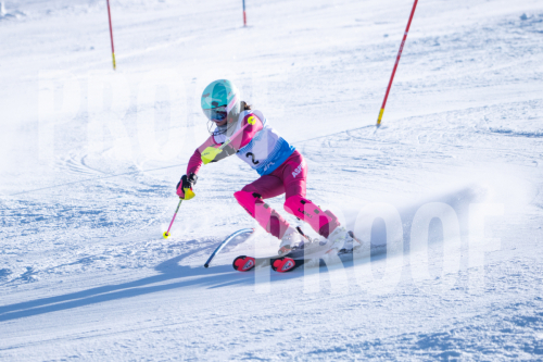 South Series Slalom