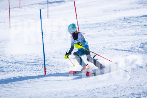 South Series Slalom
