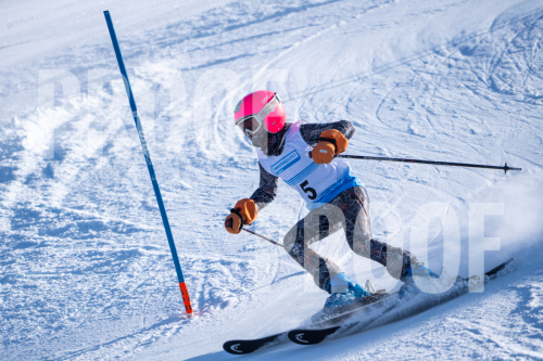 South Series Slalom