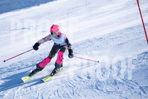 South Series Slalom