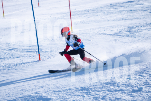 South Series Slalom