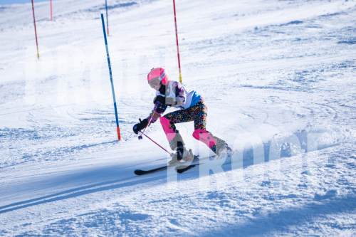 South Series Slalom
