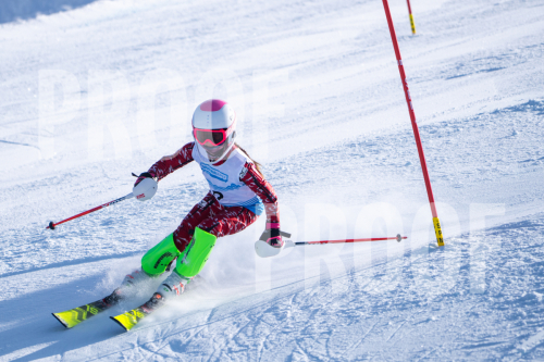 South Series Slalom