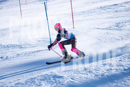 South Series Slalom