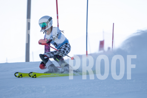 South Series Slalom