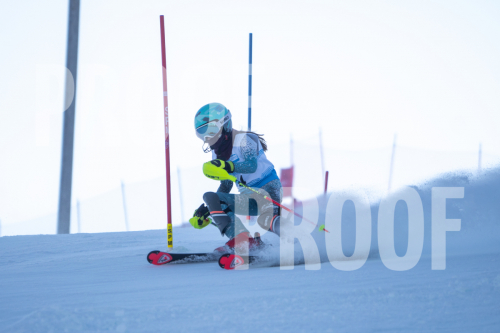 South Series Slalom
