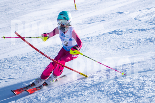 South Series Slalom