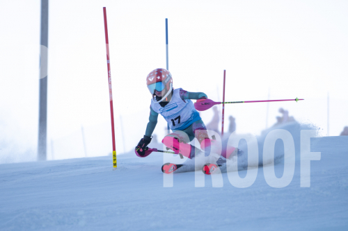South-Series-260124-107