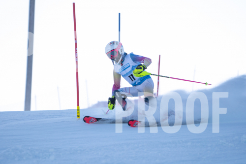 South-Series-260124-119