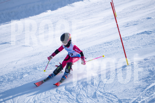 South-Series-260124-208