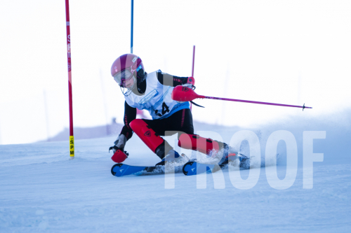 South-Series-260124-229