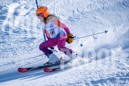 South Series Slalom