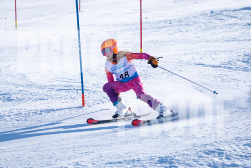 South Series Slalom