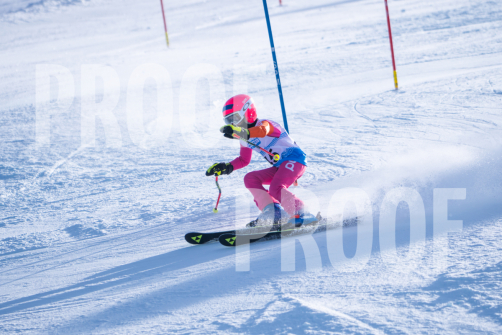 South-Series-260124-263