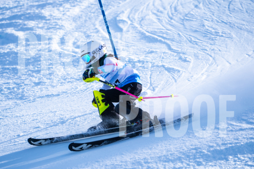South-Series-260124-266