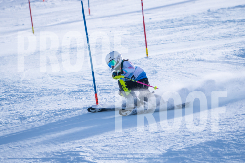 South-Series-260124-269