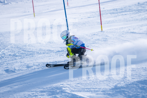 South-Series-260124-270