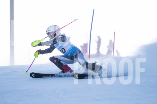 South-Series-260124-278