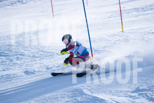 South-Series-260124-318