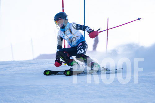 South-Series-260124-538